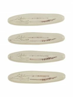 Bloomingville Plat de service fait main Bea, 8 x 36 cm, larg. 8 x long. 36 cm 13 Bloomingville Plat de service fait main Bea, 8 x 36 cm, larg. 8 x long. 36 cm -Cuisine Soldes 2022 Plat de service fait main Bea 8 x 36 cm 5