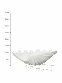 By On Saladier en dolomie forme de coquille blanche Shell, larg. 34 x haut. 10 cm -Cuisine Soldes 2022 Saladier en dolomie forme de coquille blanche Shell 2