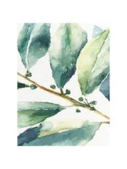 Cote Table Torchon de cuisine en coton Aroma, 5 élém., larg. 50 x long. 70 cm -Cuisine Soldes 2022 Torchon de cuisine en coton Aroma 5 elem 2