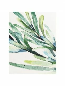 Cote Table Torchon de cuisine en coton Aroma, 5 élém., larg. 50 x long. 70 cm -Cuisine Soldes 2022 Torchon de cuisine en coton Aroma 5 elem 5