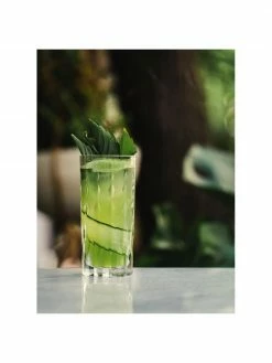 RCR Verre Long Drink cristal avec relief Marilyn, 6 pièces, Ø 7 x haut. 15 cm, 350 ml -Cuisine Soldes 2022 Verre Long Drink cristal avec relief Marilyn 6 pieces 4